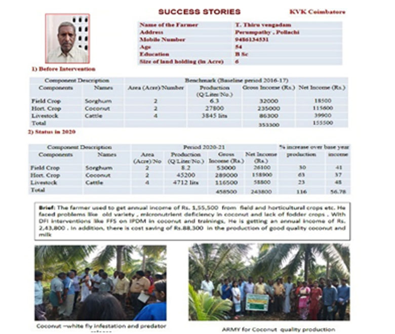 Daily Market Information DMI